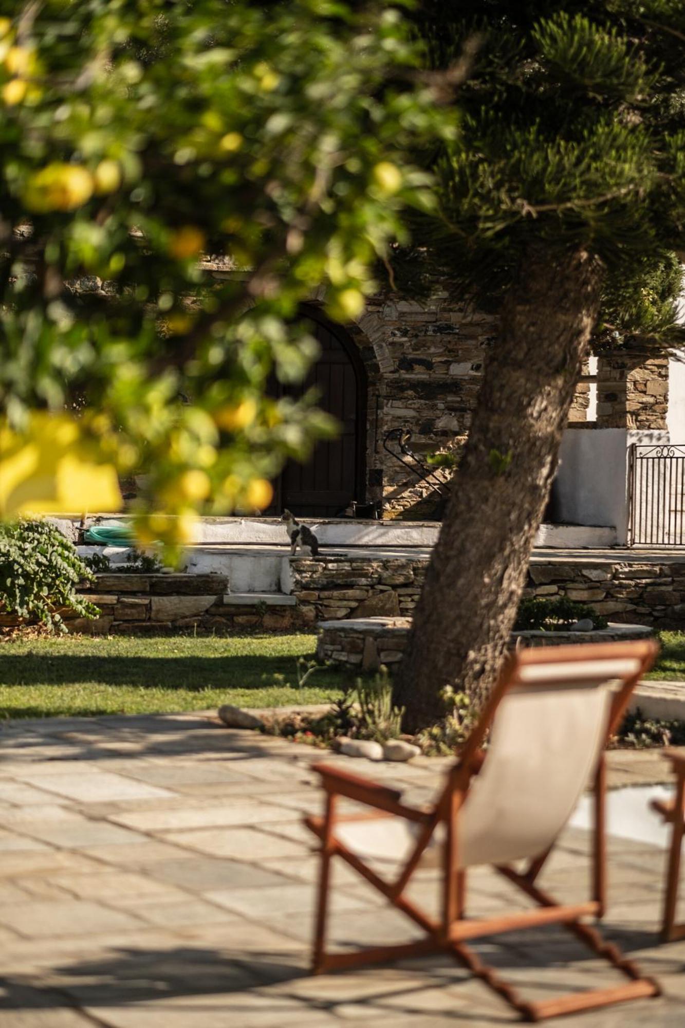 Romano Garden House - Land Tales Agios Romanos Экстерьер фото